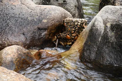 DSC_4634 (Large).JPG